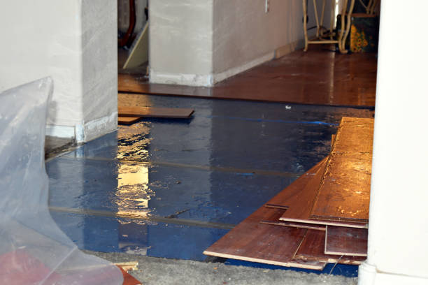 Professional Water Damage Restoration technician working in Patterson, LA